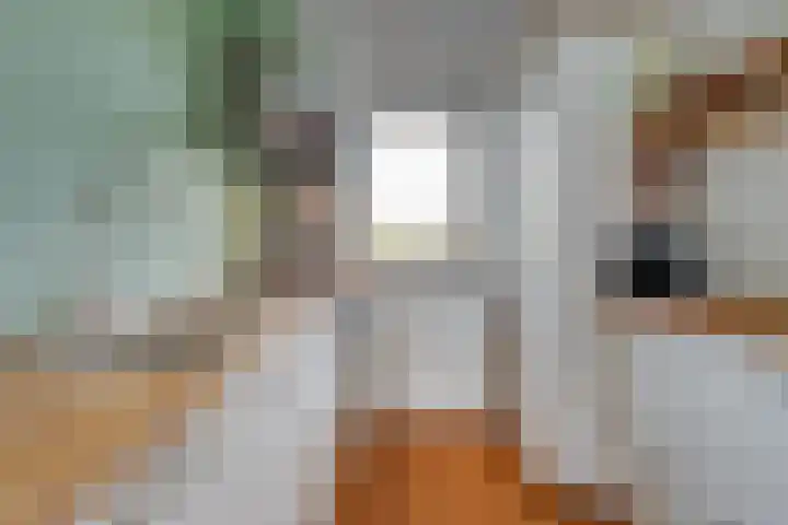 't Erf 33 Leusden thumbnail 23