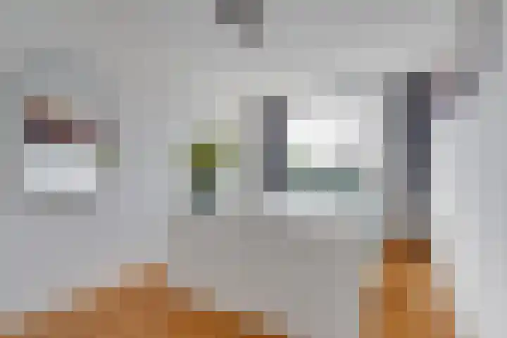 't Erf 33 Leusden thumbnail 29