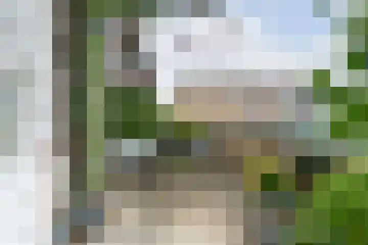 't Erf 33 Leusden foto 3