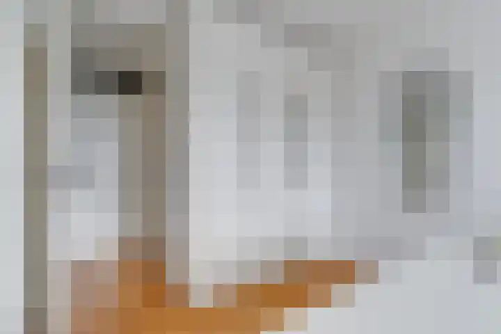 't Erf 33 Leusden thumbnail 31