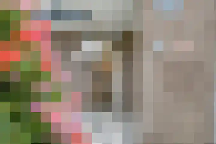 't Erf 33 Leusden thumbnail 4