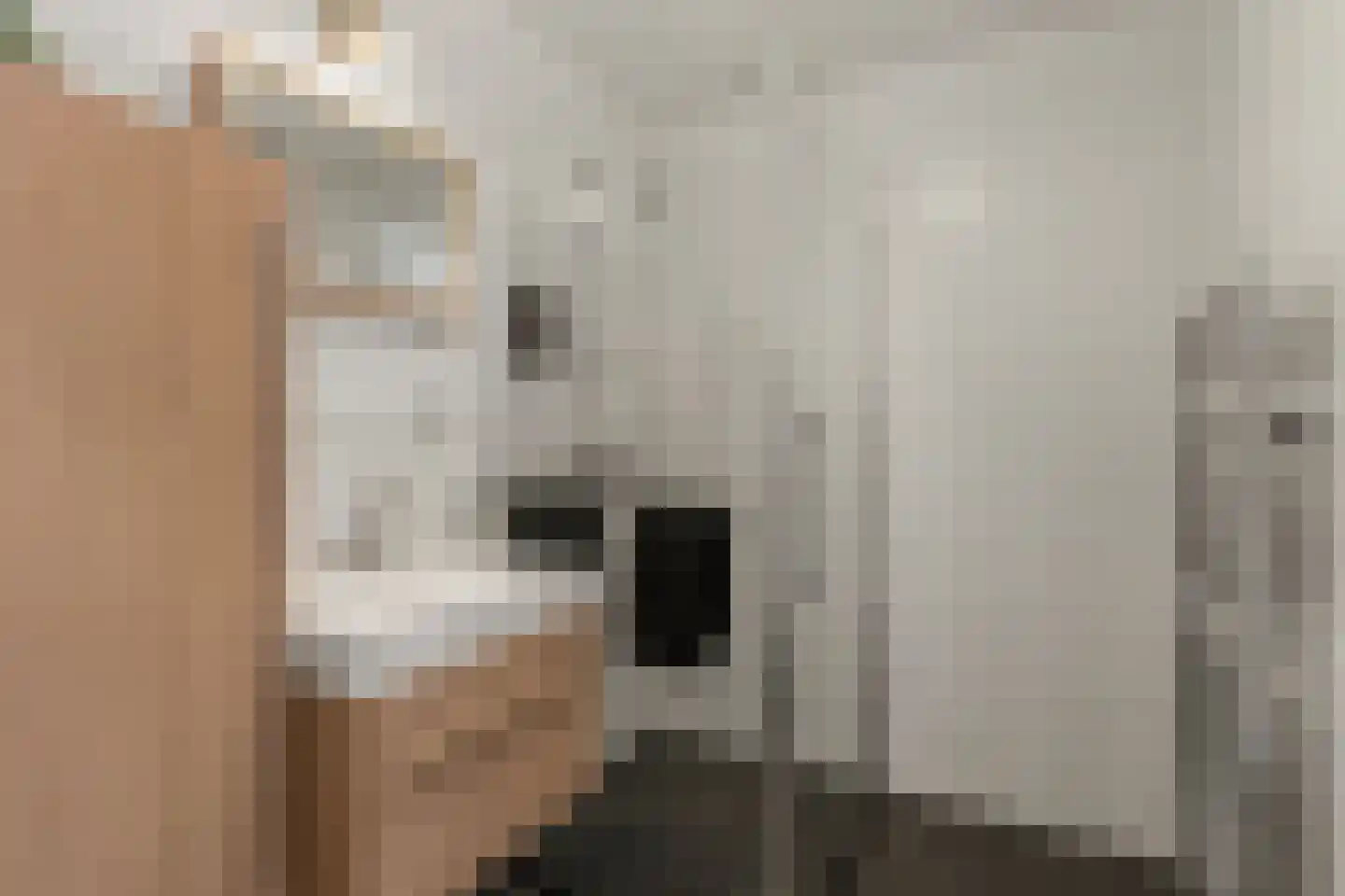 't Erf 45 Leusden thumbnail 18