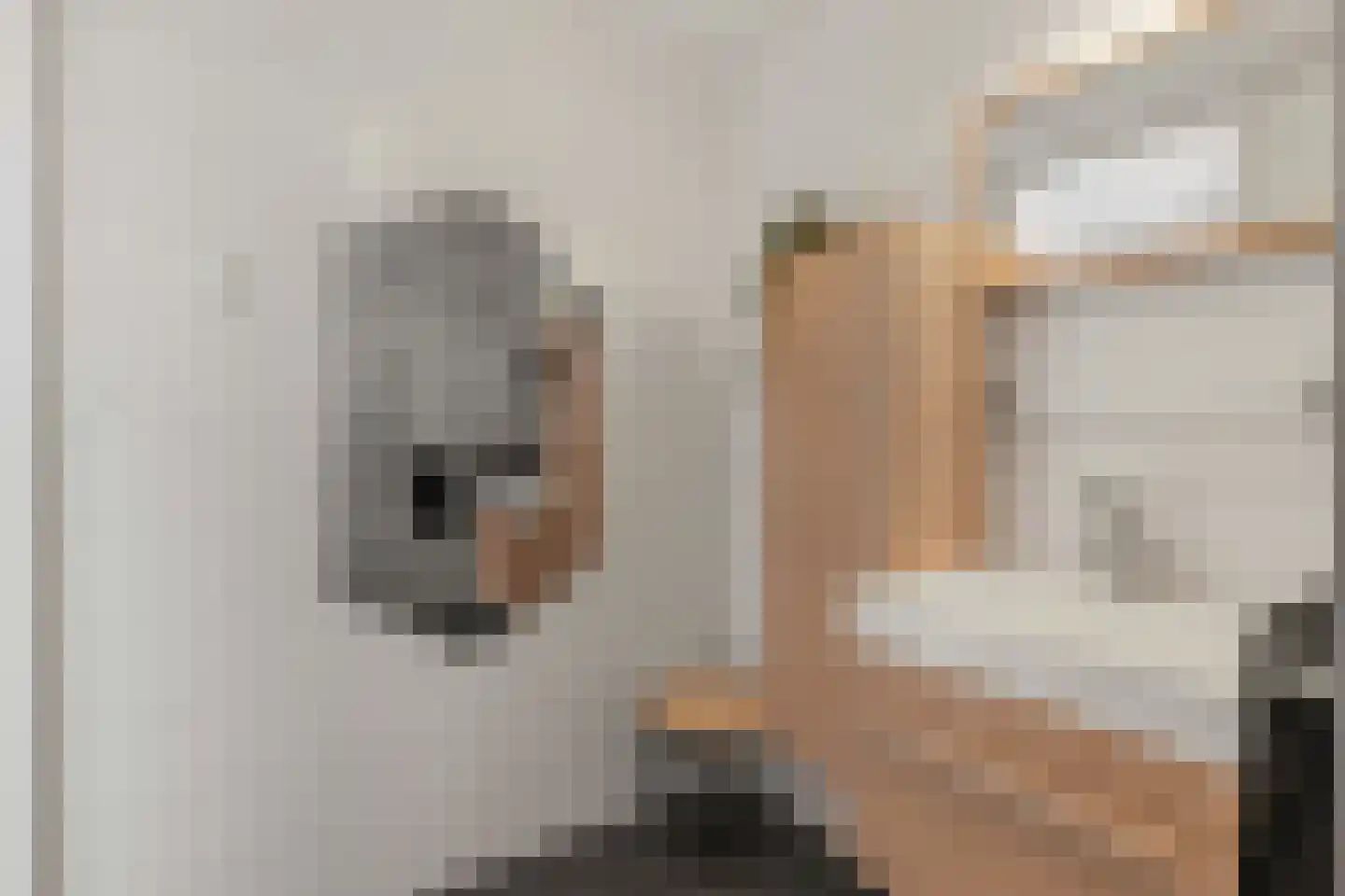 't Erf 45 Leusden thumbnail 19