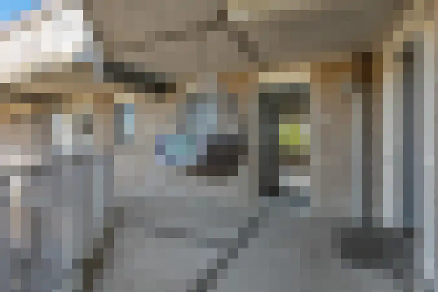 't Erf 45 Leusden thumbnail 23
