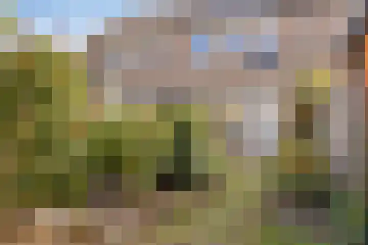 't Erf 51 Bemmel thumbnail 29