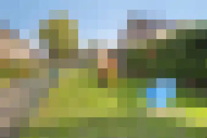 't Erf 51 Bemmel thumbnail 31