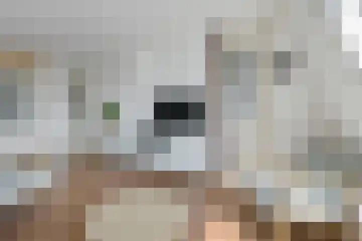 't Erf 83 Leusden thumbnail 11