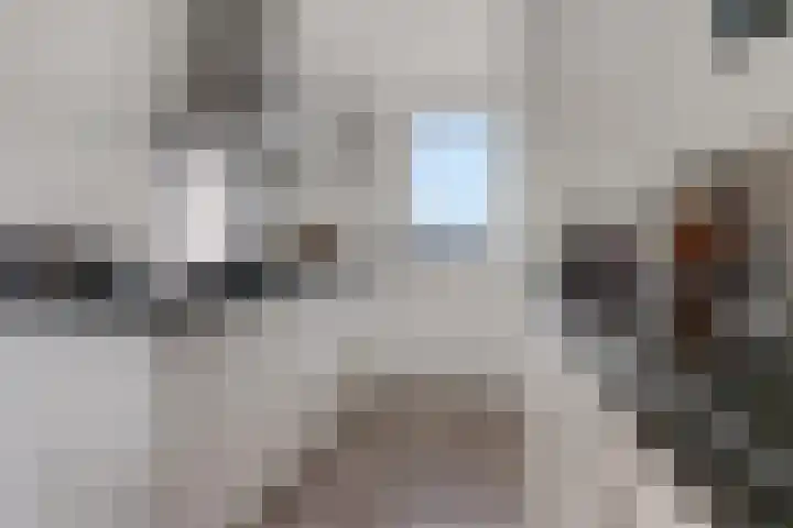 't Erf 85 Leusden thumbnail 12