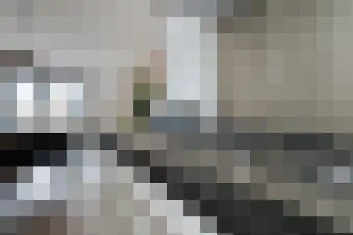 't Erf 85 Leusden thumbnail 13