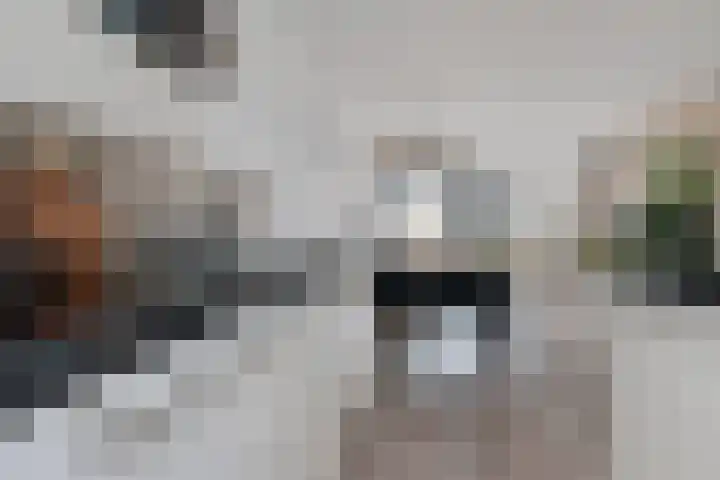 't Erf 85 Leusden thumbnail 14