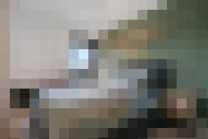 't Erf 85 Leusden thumbnail 17