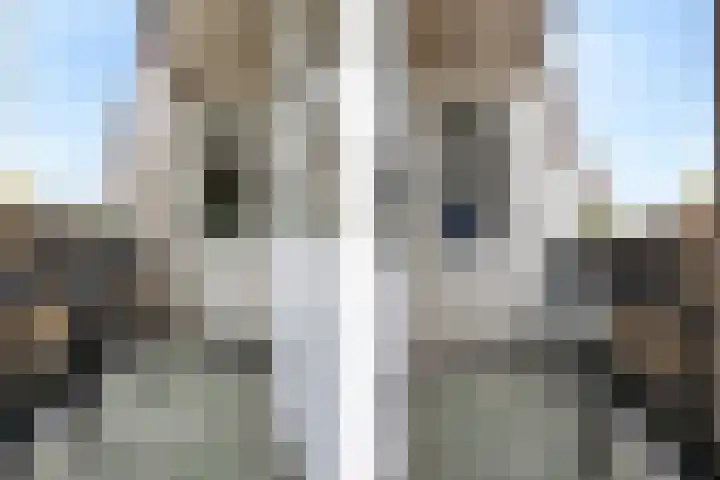 't Erf 85 Leusden thumbnail 22