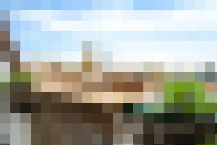 't Erf 85 Leusden thumbnail 23