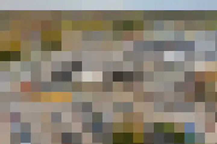 't Erf 85 Leusden thumbnail 25