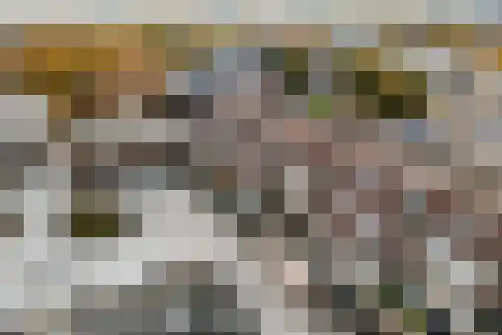 't Erf 85 Leusden thumbnail 6