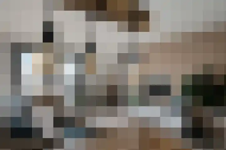 't Erf 85 Leusden thumbnail 8
