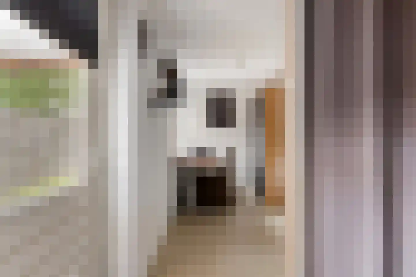 't Fledderbos 14 Stadskanaal thumbnail 22
