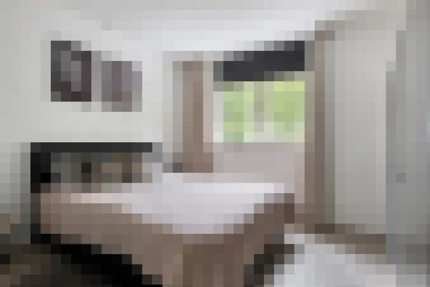 't Fledderbos 14 Stadskanaal thumbnail 25