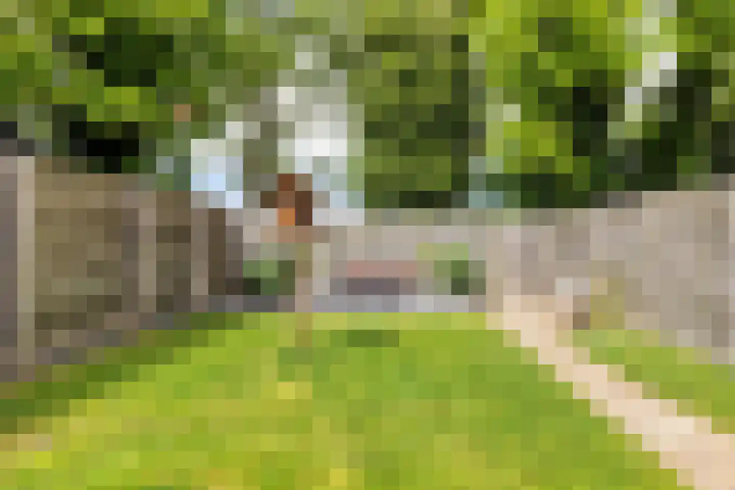 't Fledderbos 14 Stadskanaal thumbnail 36