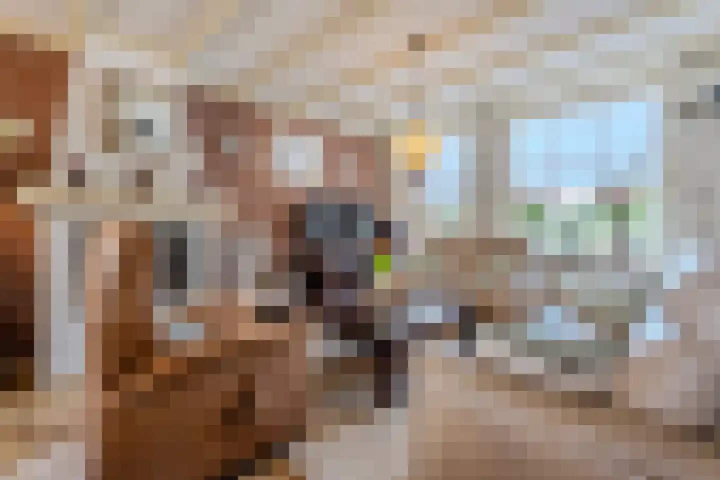 't Flieren 39 Vianen NB thumbnail 10