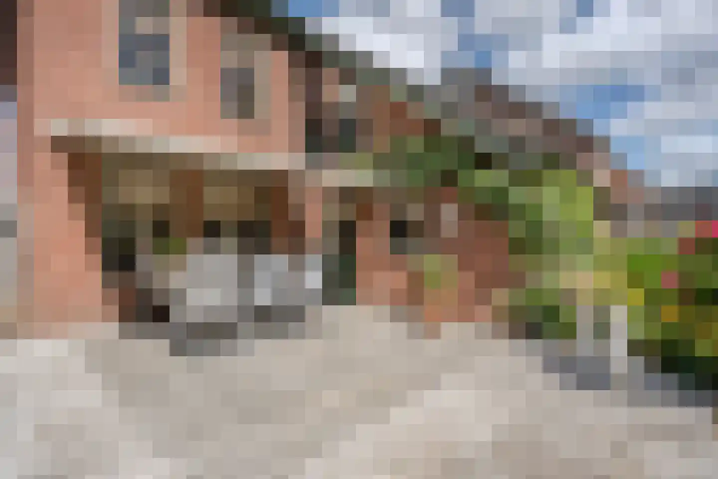 't Flieren 39 Vianen NB thumbnail 25