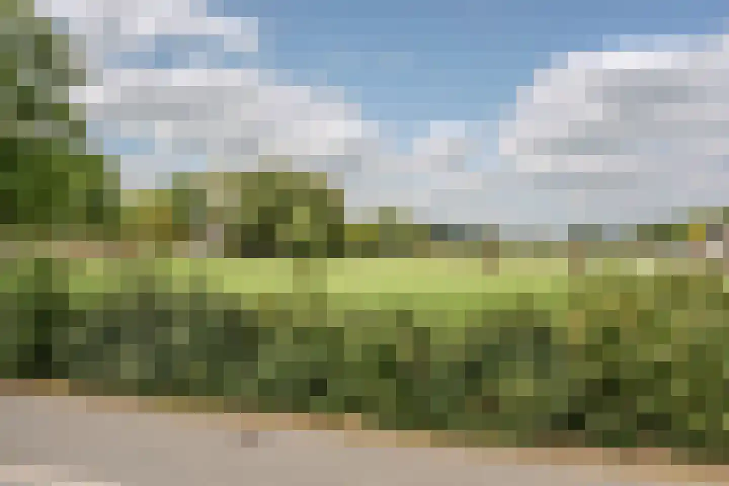 't Flieren 39 Vianen NB thumbnail 28