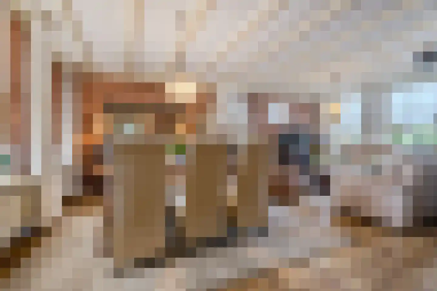't Flieren 39 Vianen NB thumbnail 9