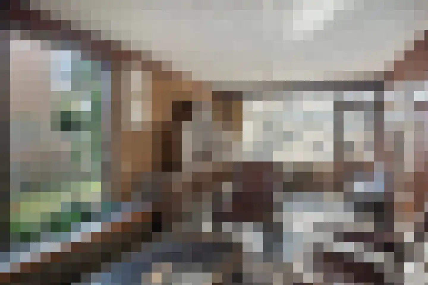 't Fort 25 Elst thumbnail 13