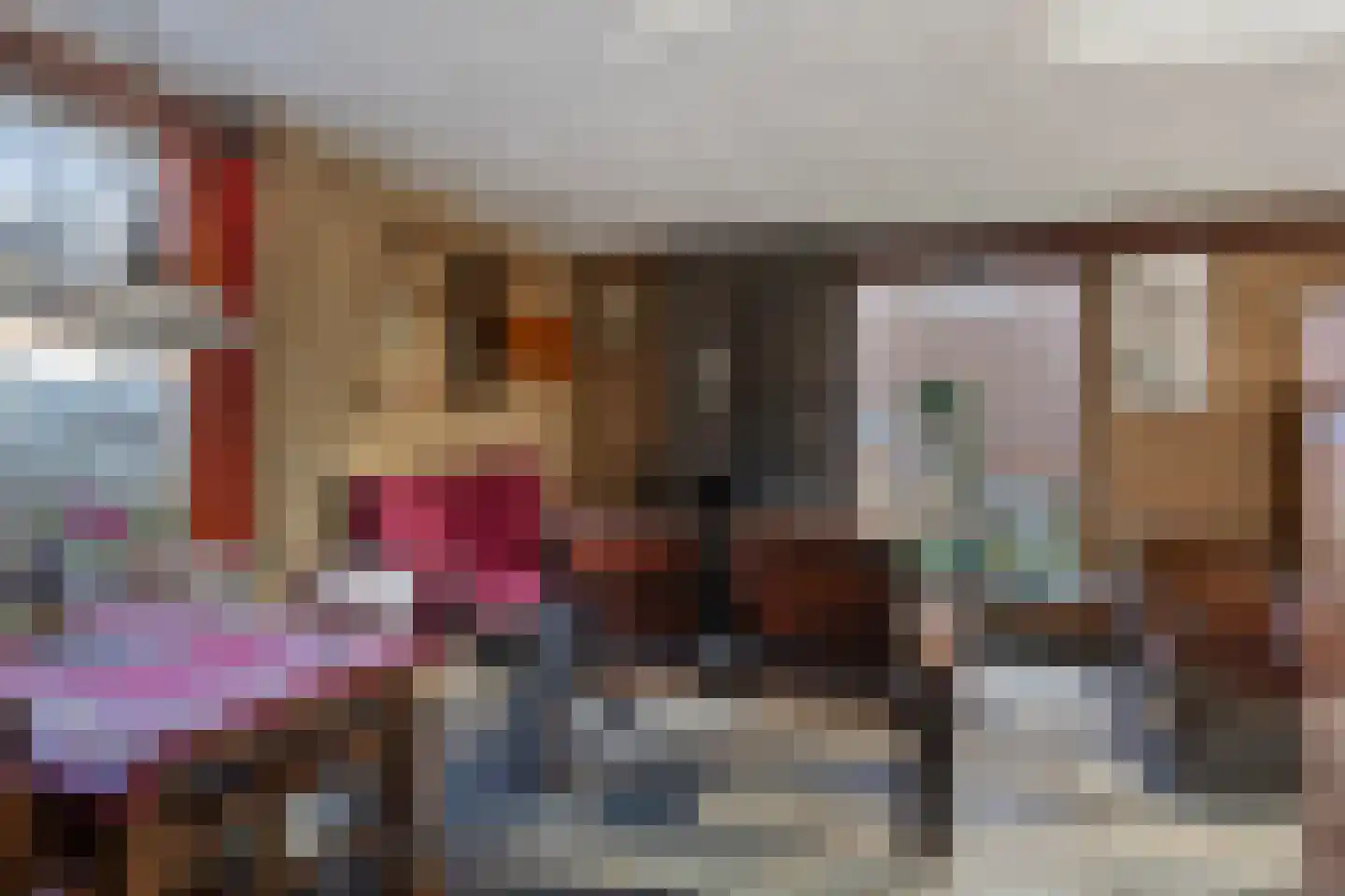 't Fort 25 Elst thumbnail 14