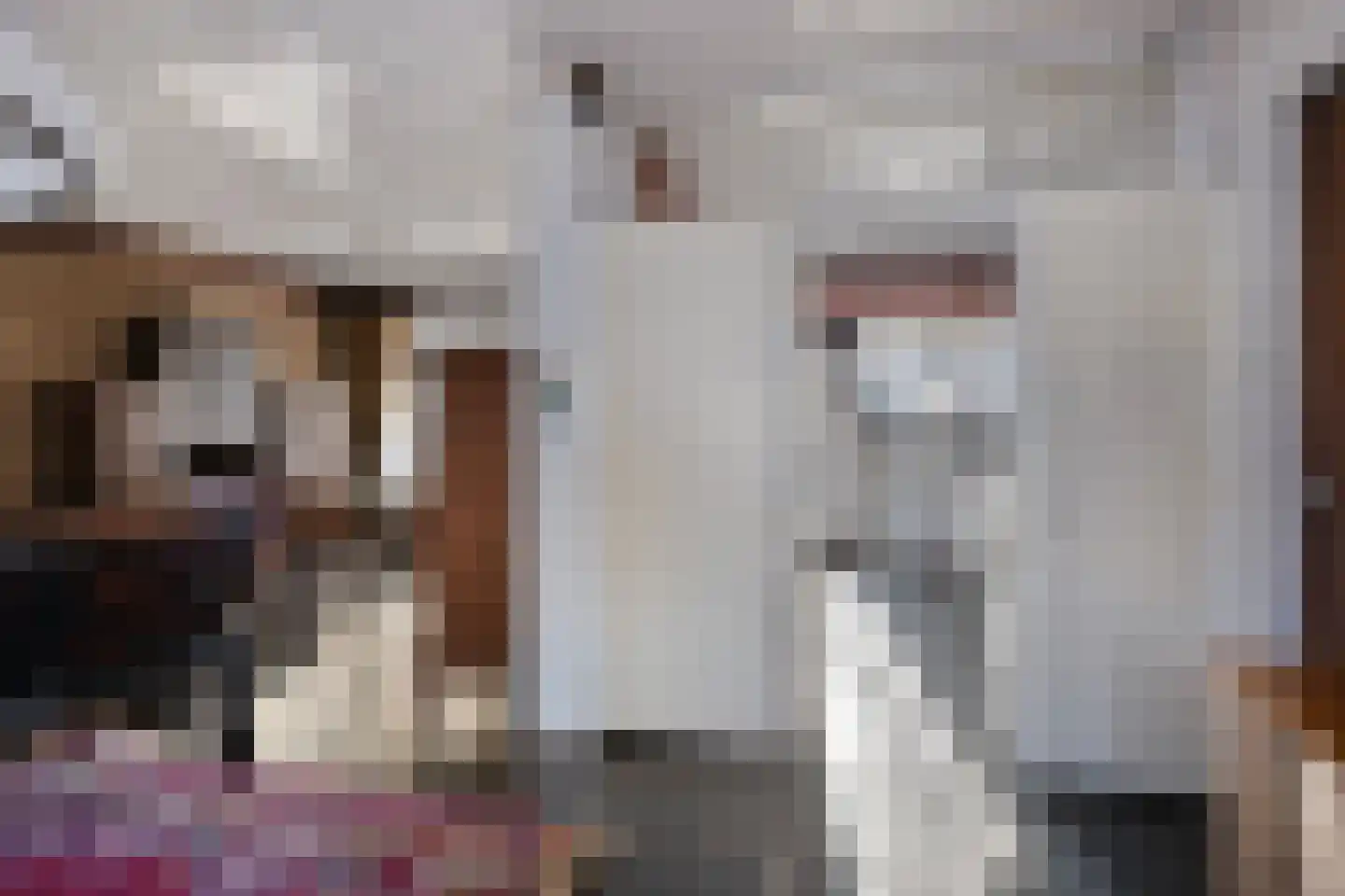 't Fort 25 Elst thumbnail 17