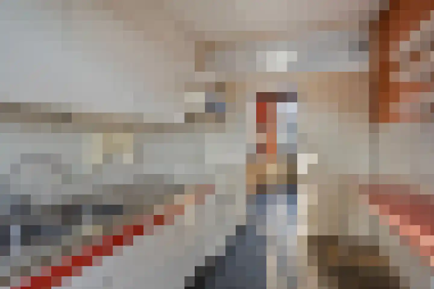 't Fort 25 Elst thumbnail 19