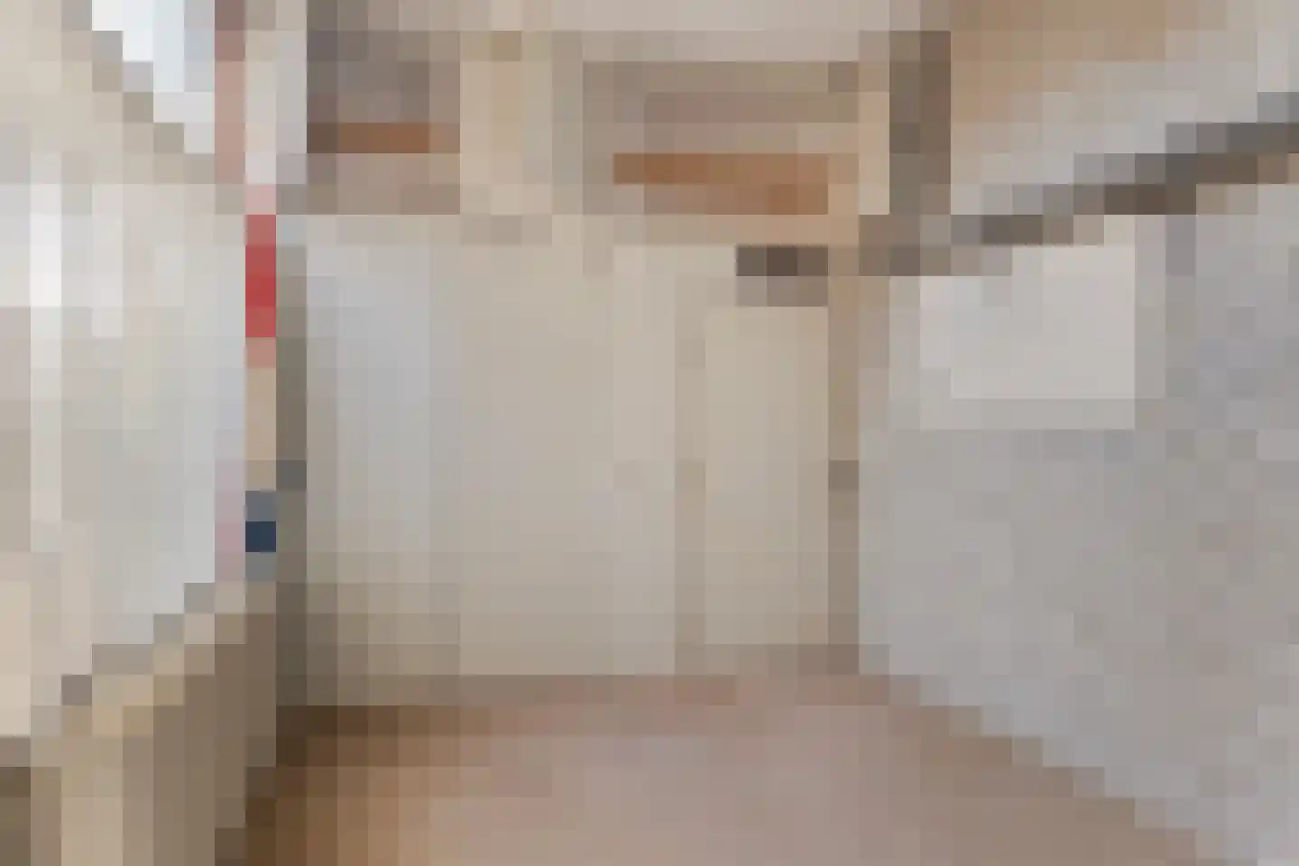 't Fort 25 Elst thumbnail 20