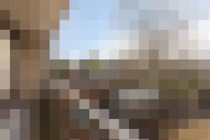 't Fort 25 Elst thumbnail 26