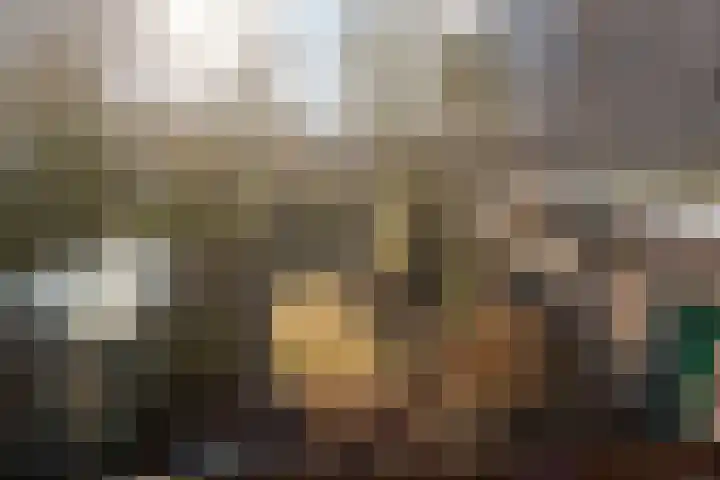 't Fort 25 Elst thumbnail 27