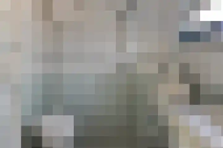 't Fort 25 Elst thumbnail 29