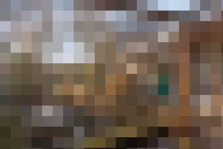 't Fort 25 Elst thumbnail 37