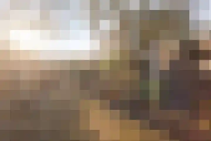 't Fort 25 Elst thumbnail 40