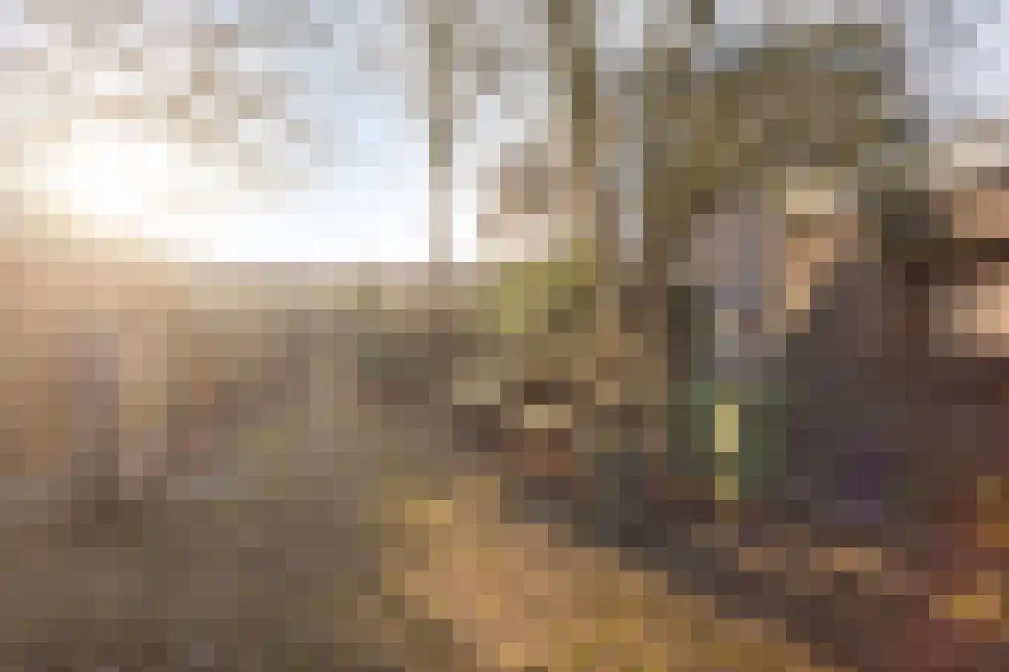 't Fort 25 Elst thumbnail 40