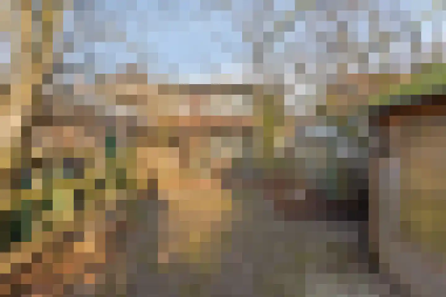't Fort 25 Elst thumbnail 41