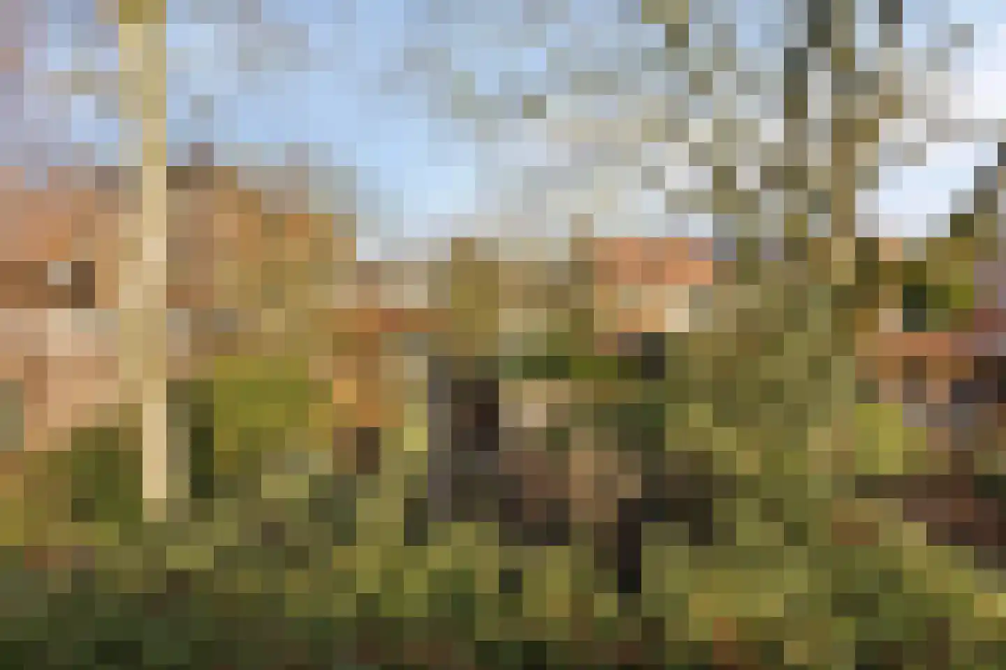 't Fort 25 Elst thumbnail 42