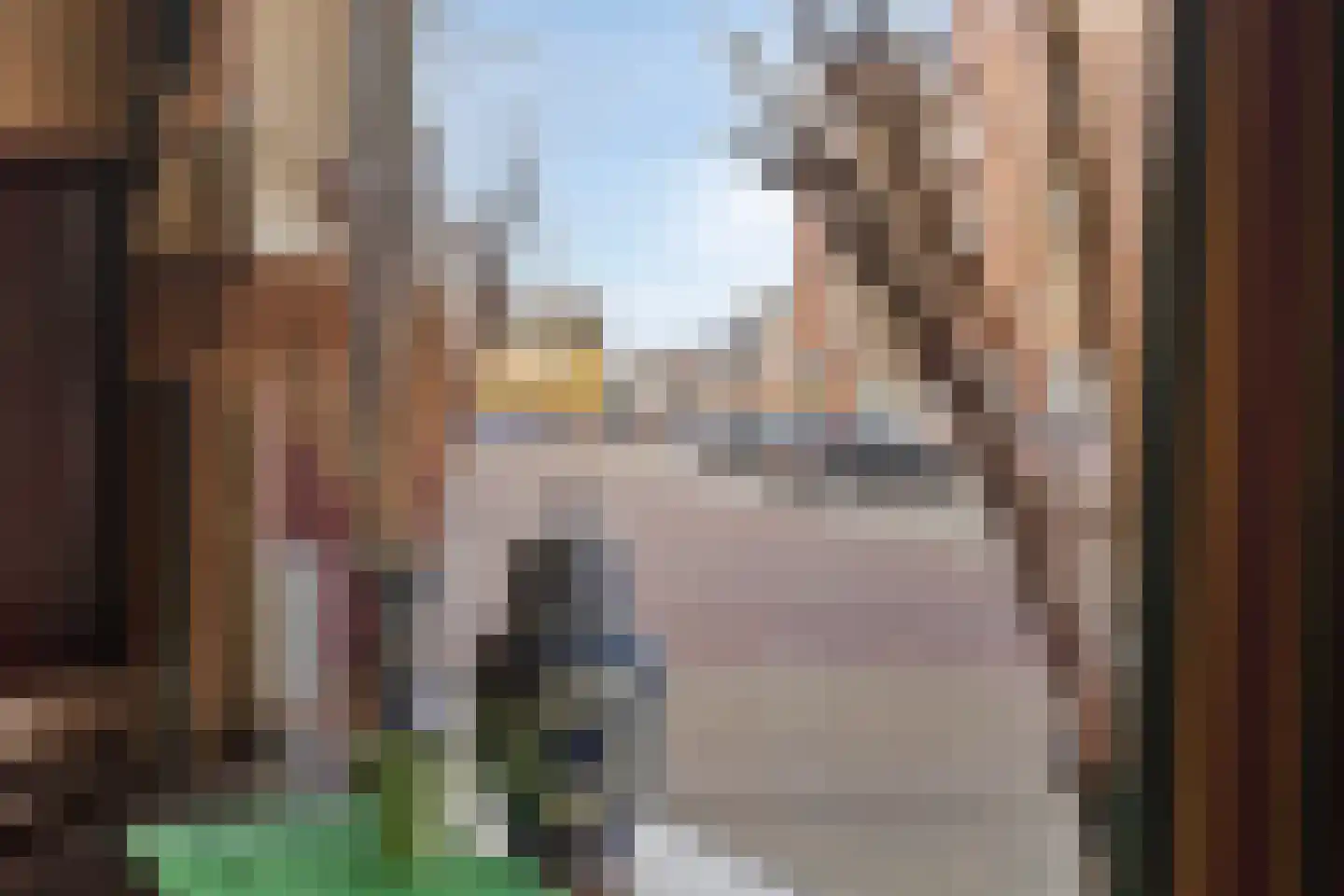 't Fort 25 Elst thumbnail 47