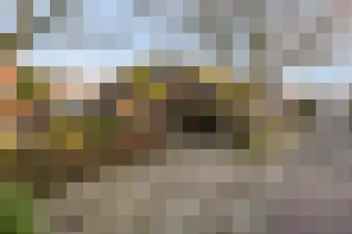 't Fort 25 Elst thumbnail 63