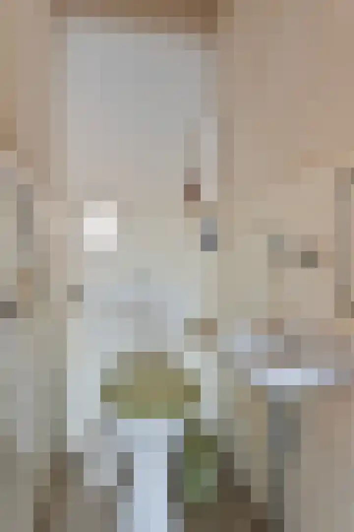 't Fort 25 Elst thumbnail 9