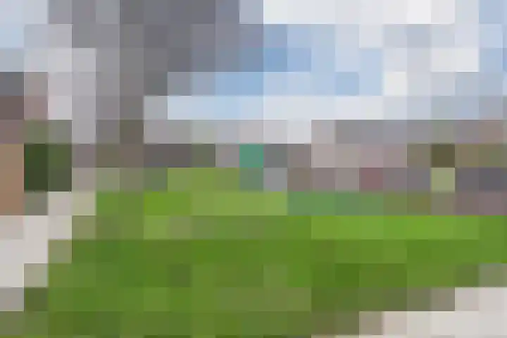 't Fruit 7 Barendrecht thumbnail 34