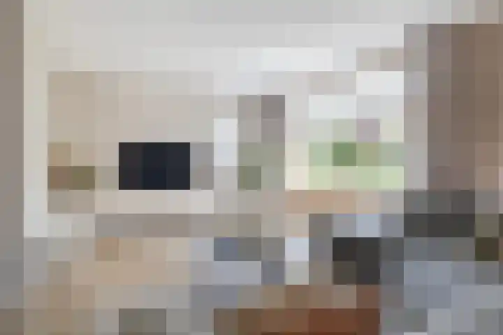 't Ganghout 2 St.-Annaparochie thumbnail 10