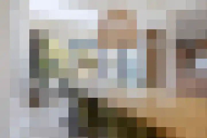 't Ganghout 2 St.-Annaparochie thumbnail 16