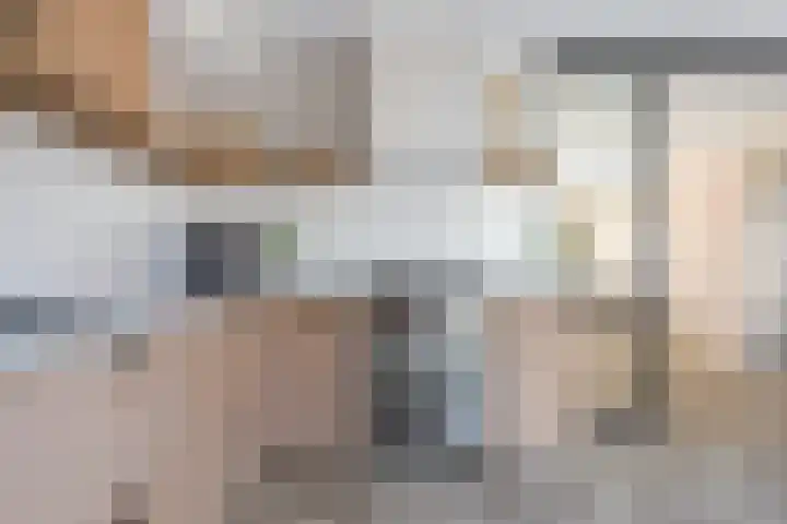 't Ganghout 2 St.-Annaparochie thumbnail 19