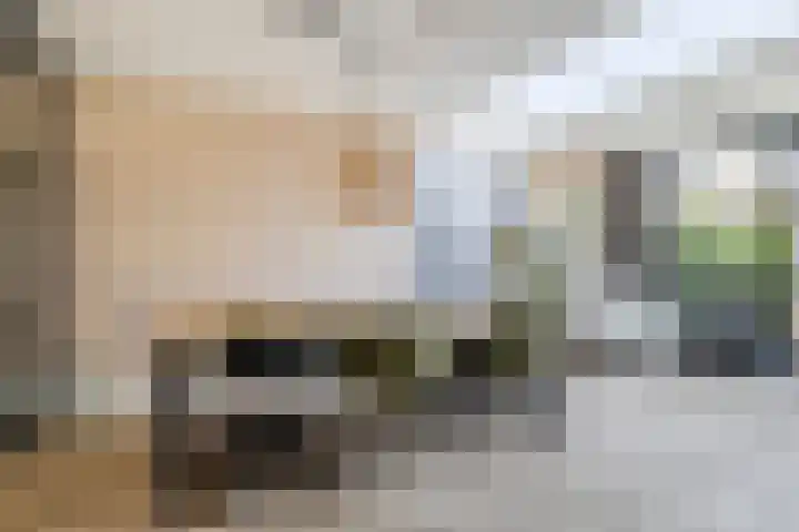 't Ganghout 2 St.-Annaparochie thumbnail 20
