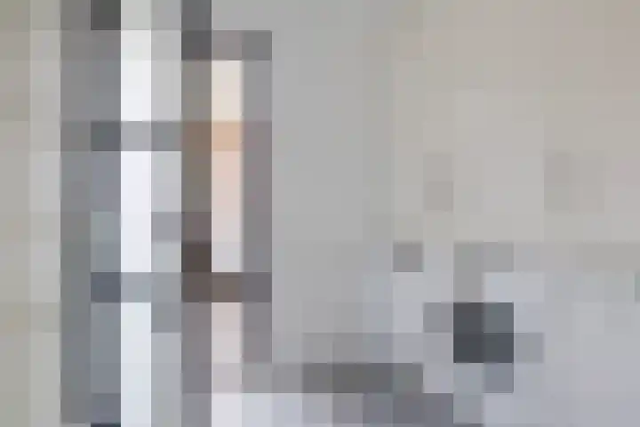't Ganghout 2 St.-Annaparochie thumbnail 26