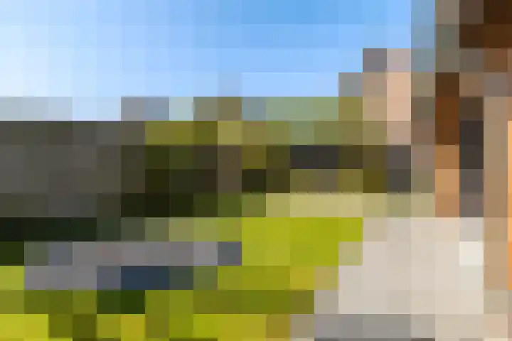 't Ganghout 2 St.-Annaparochie thumbnail 31
